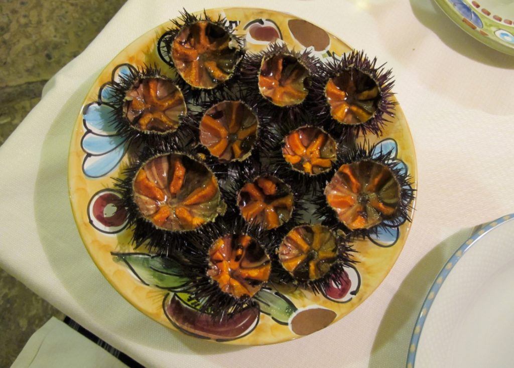 Sea urchins