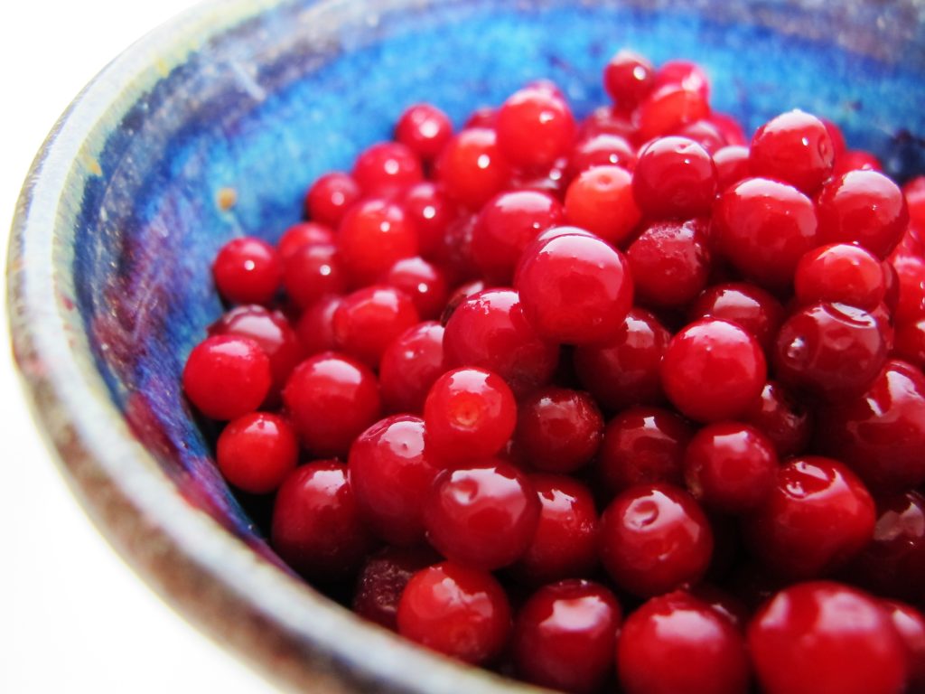 Lingonberries 