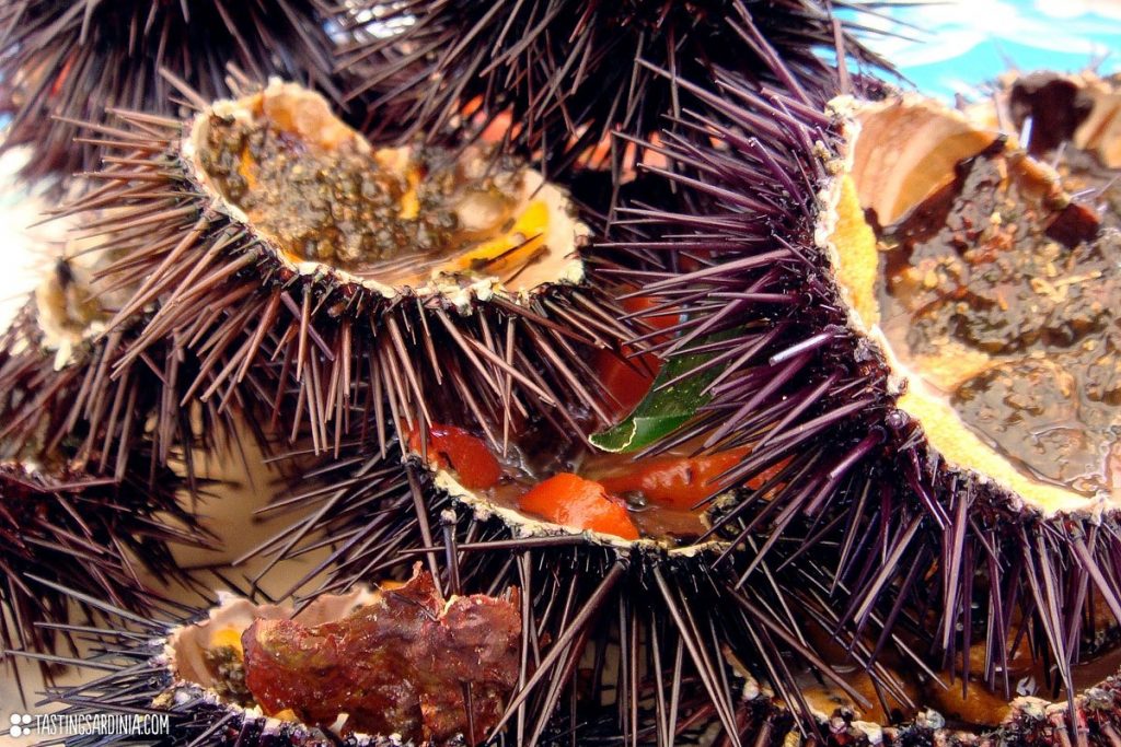 Sea urchins 