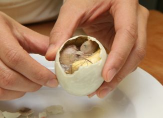 balut