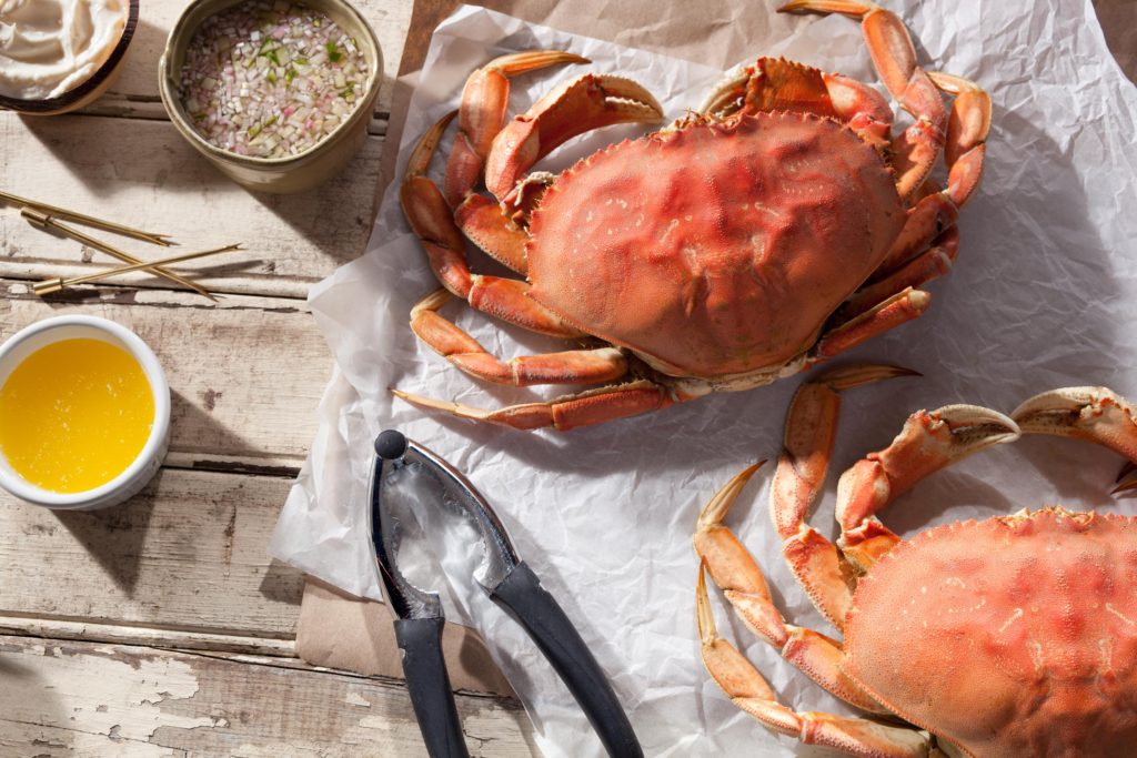 Dungeness Crab