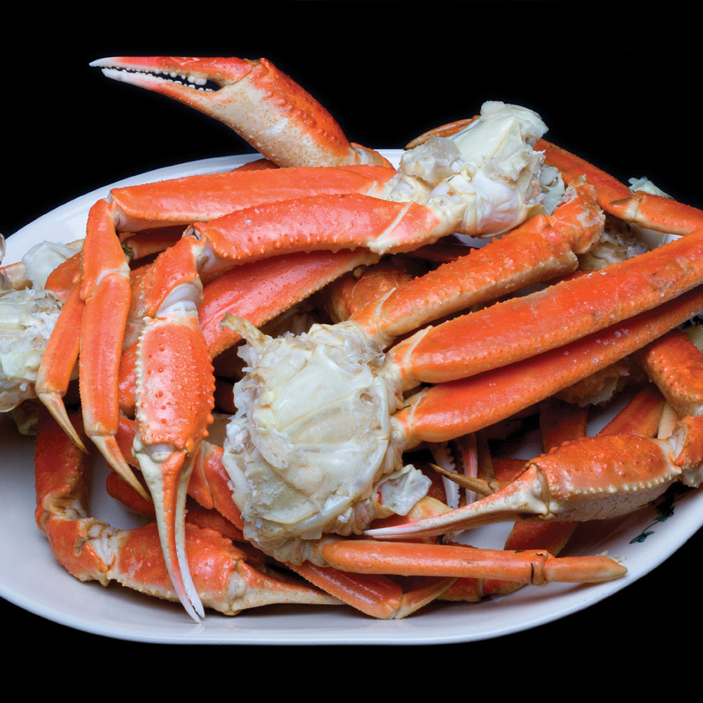 Snow Crab