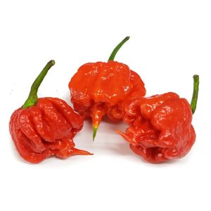 Carolina Reaper