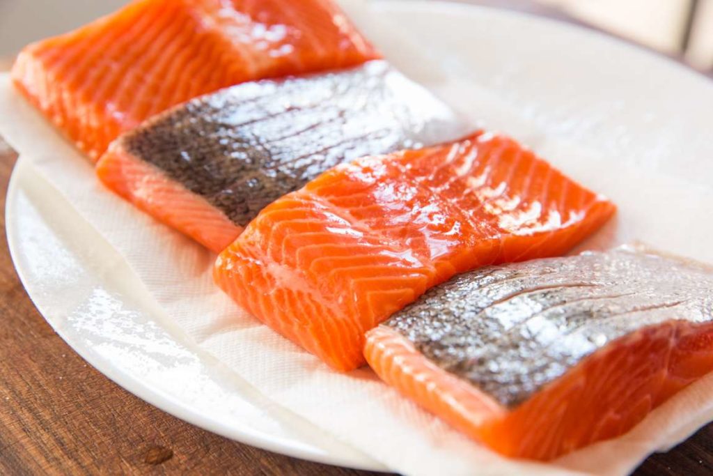 Salmon