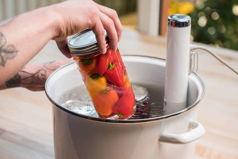 Sous Vide Technique: Easy Way to Cook Delicious High-Protein Dishes